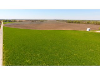 Property photo 30 - LAND AUCTION - 492+/- ACRES OFFERED IN 7 TRACTS IN SULLIVAN & KNOX COUNTIES, INDIANA